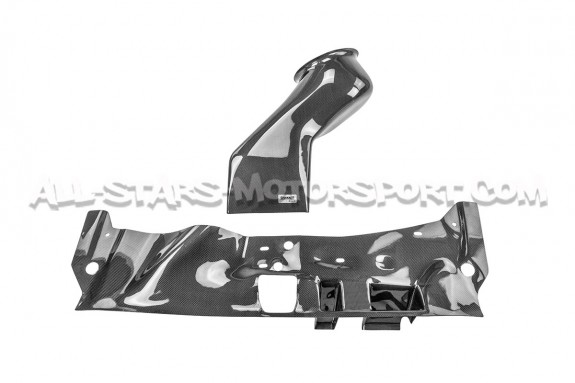 Mitsubishi Lancer Evo 10 Gruppe M Carbon Fiber Intake System