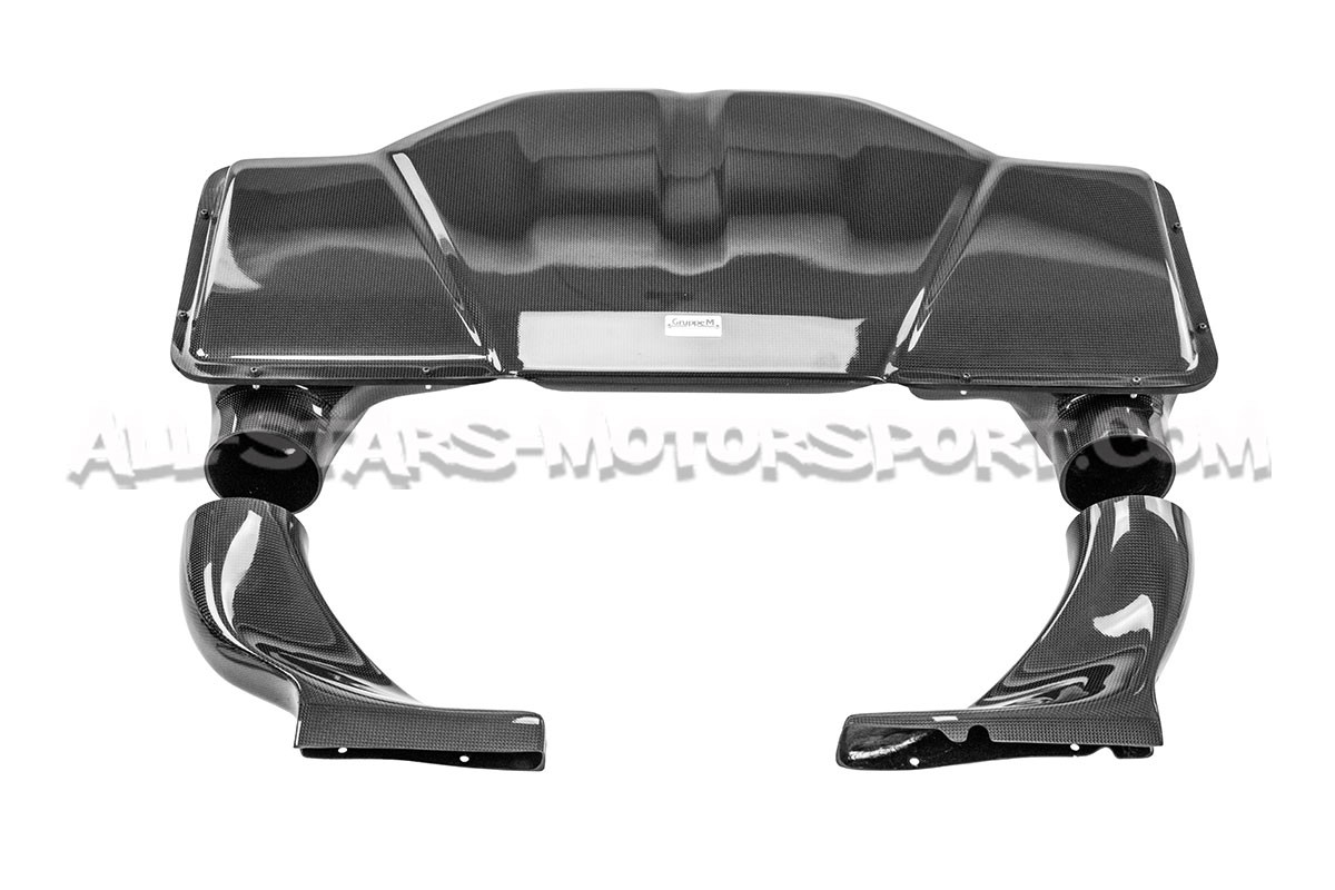 Audi RS6 C5 Gruppe M Carbon Fiber Intake System