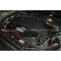 Admision de carbono Gruppe M para Audi RS6 C5