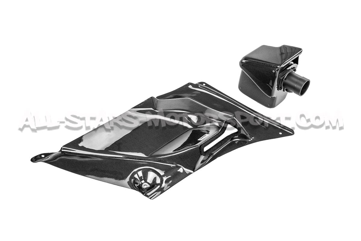 Honda Civic Type R FN2 Gruppe M Carbon Fiber Intake System
