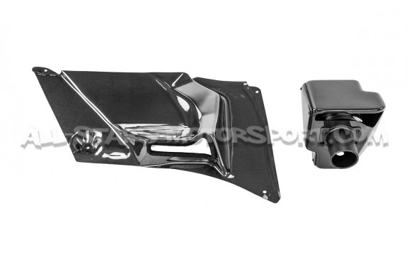 Honda Civic Type R FN2 Gruppe M Carbon Fiber Intake System