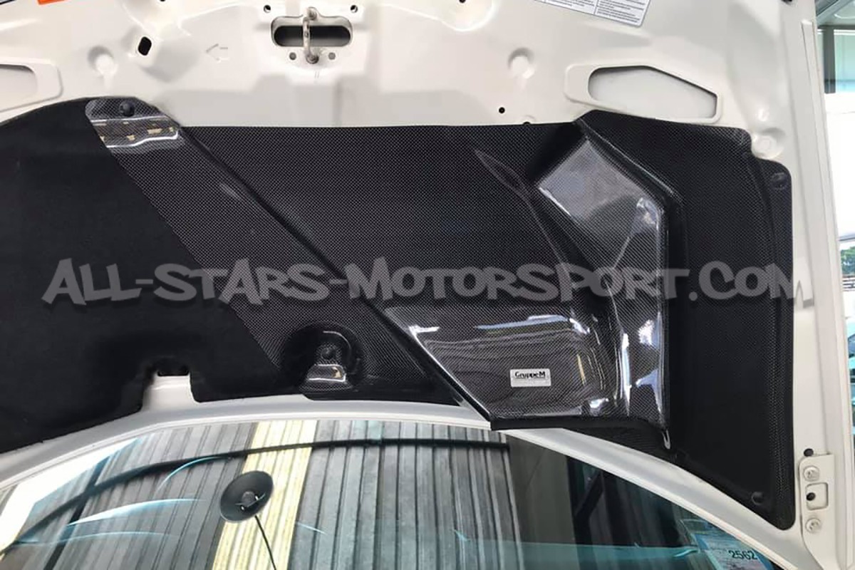Honda Civic Type R FN2 Gruppe M Carbon Fiber Intake System