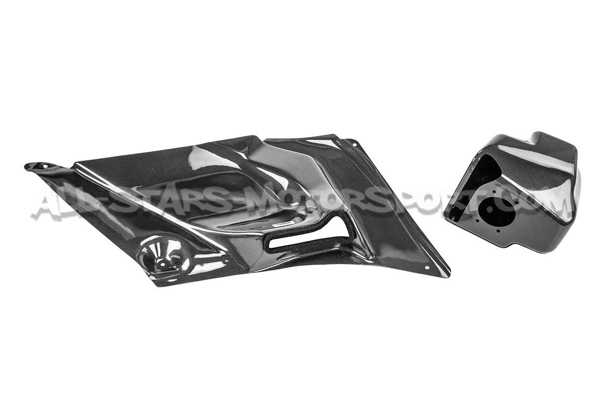Admision de carbono Gruppe M para Honda Civic Type R FN2