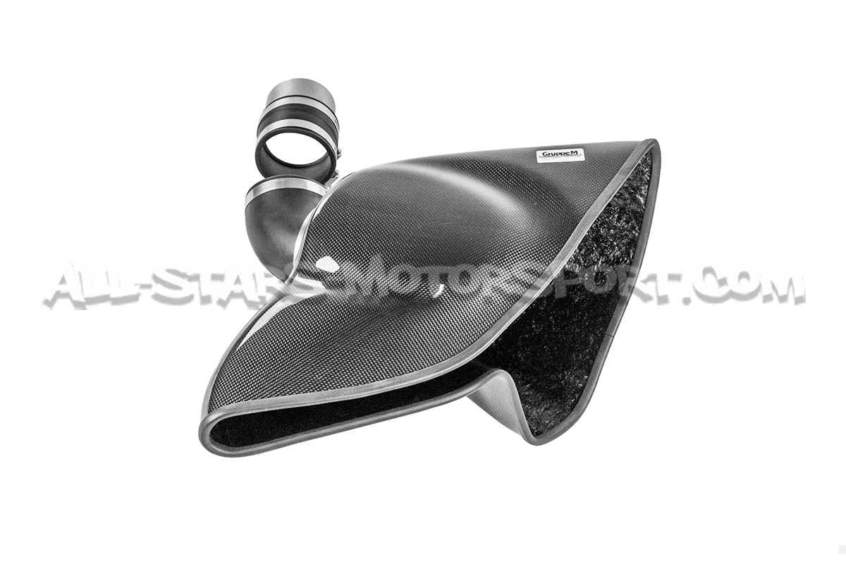 Golf 6 GTI Gruppe M Carbon Fiber Intake System