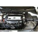 Admission carbone Gruppe M pour Golf 6 GTI