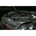 Admission carbone Gruppe M pour Golf 6 GTI