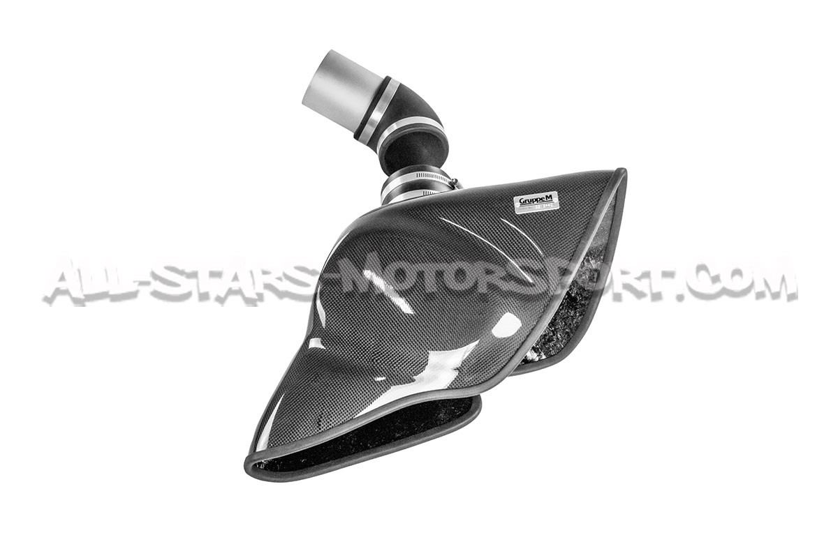 Admission carbone Gruppe M pour Audi TTS 8J