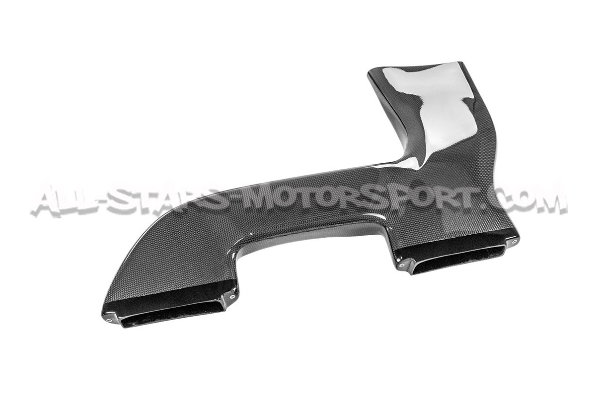 BMW 1M / 135i E82 Gruppe M Carbon Fiber Intake System