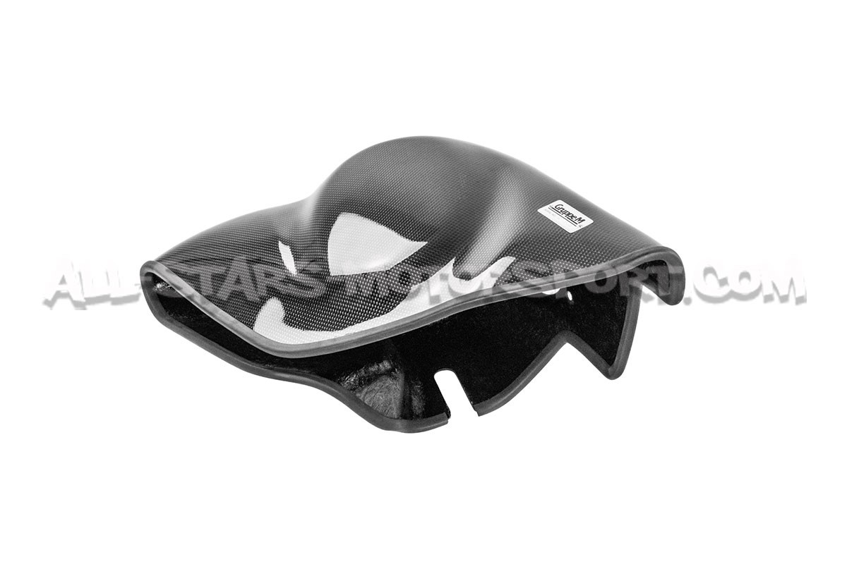Polo 6R GTI Gruppe M Carbon Fiber Intake System