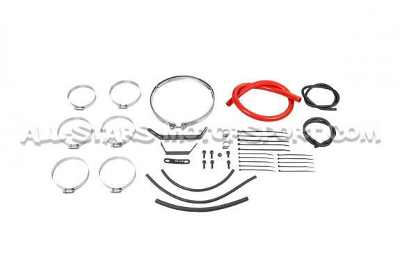 Admision de carbono Gruppe M para Honda S2000