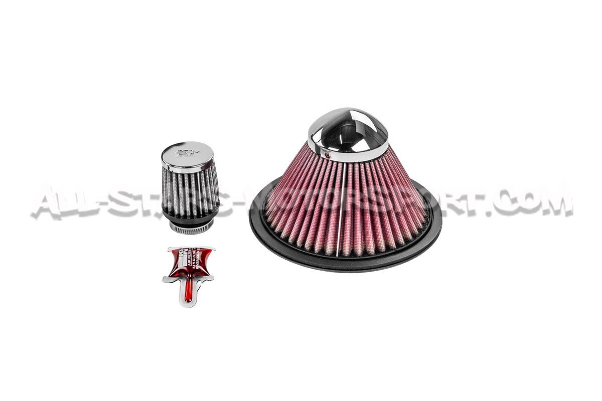 Audi S5 8T 4.2 FSI Gruppe M Carbon Fiber Intake System