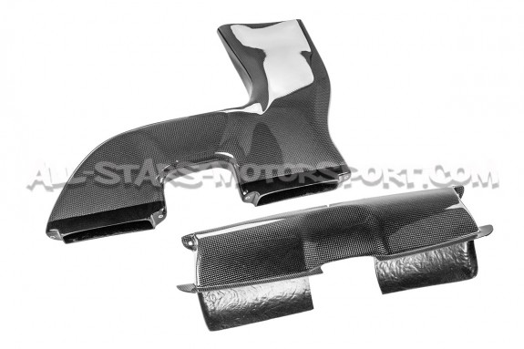 BMW 335i E9x Quattro Gruppe M Carbon Fiber Intake System