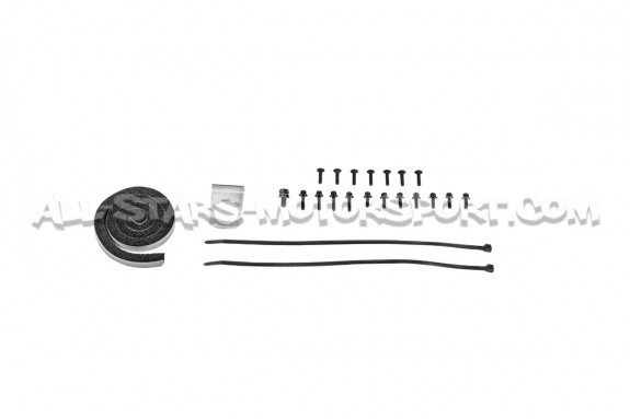 Admission carbone Gruppe M pour 335i E9x N54