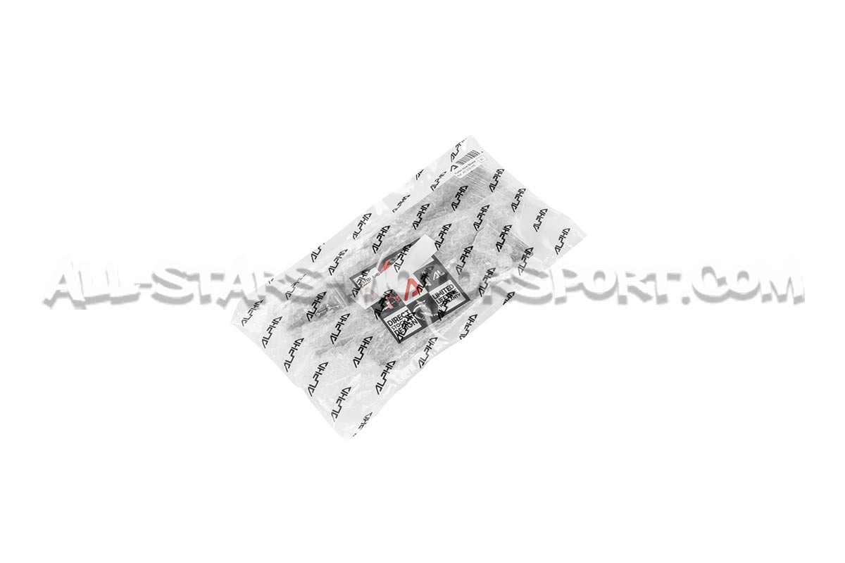 2.0 TFSI EA113 Alpha Competition Turbo Heat Shield