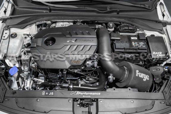 Admisión Forge Motorsport para Hyundai I30N