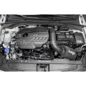 Admisión Forge Motorsport para Hyundai I30N