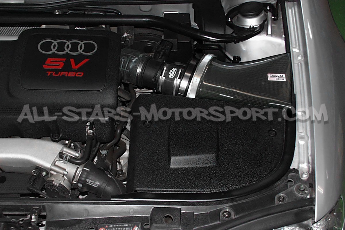 Admission carbone Gruppe M pour Audi S3 8L