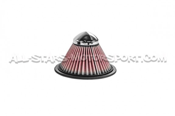 Admission carbone Gruppe M pour Audi S3 8L