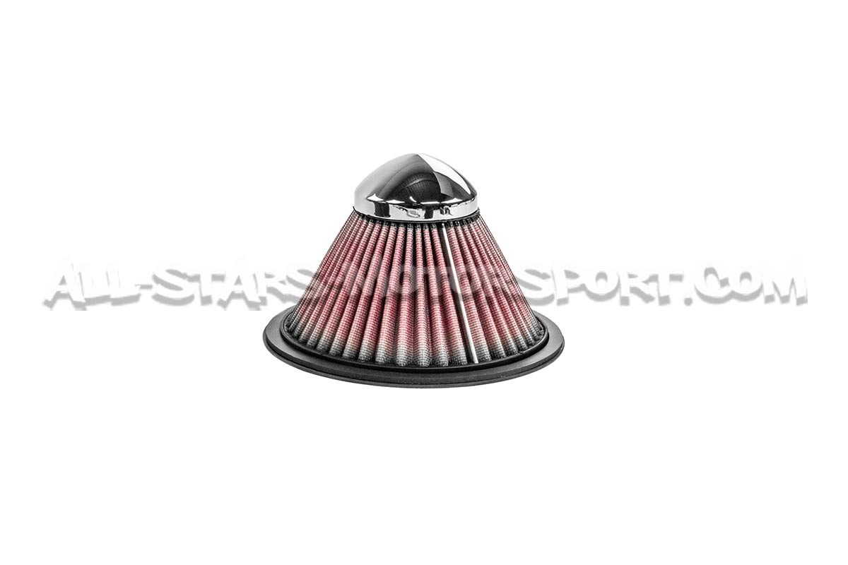 Admission carbone Gruppe M pour Audi S3 8L