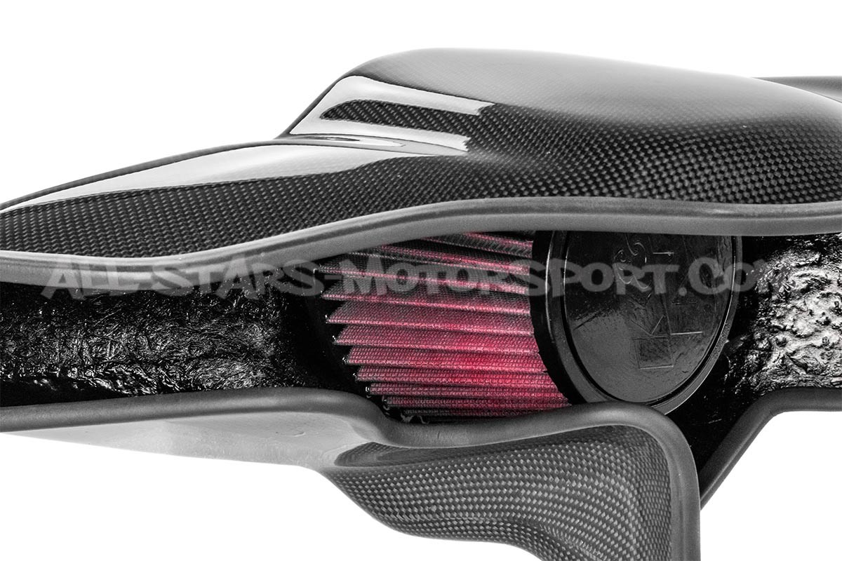 Audi S1 Gruppe M Carbon Fiber Intake System