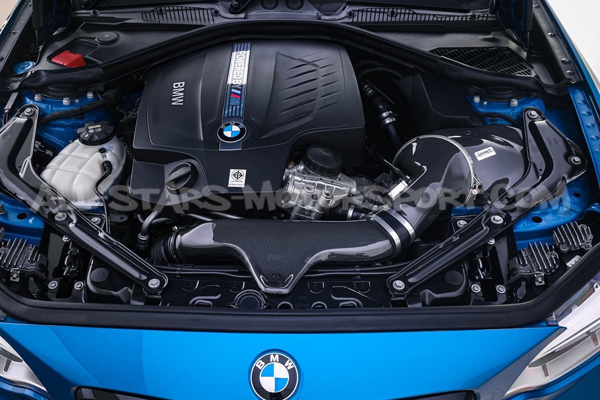Admision de carbono Gruppe M para BMW M2 F87