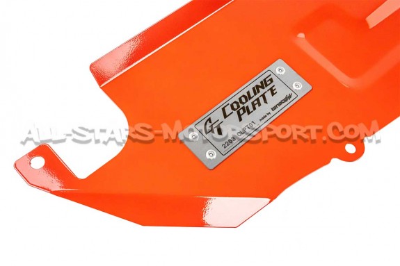 Kit de diffuseurs d'air Tanabe cooling plate pour Toyota Yaris GR G...