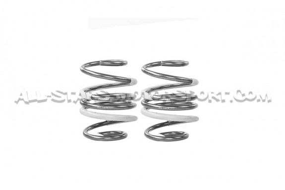 Honda Civic Type R FK8 Tanabe Funtoride -20mm Lowering Springs
