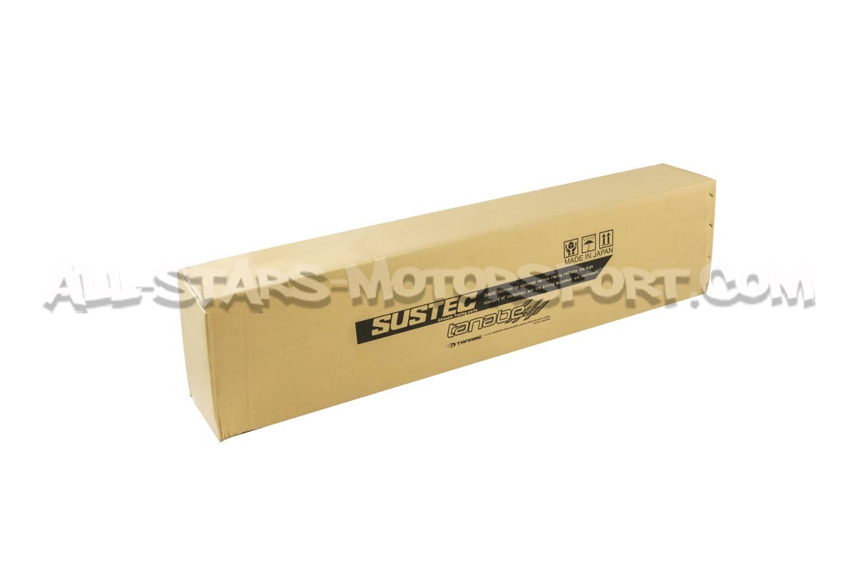 Toyota Yaris GR Gen.1 2 points Tanabe Rear Lower Brace