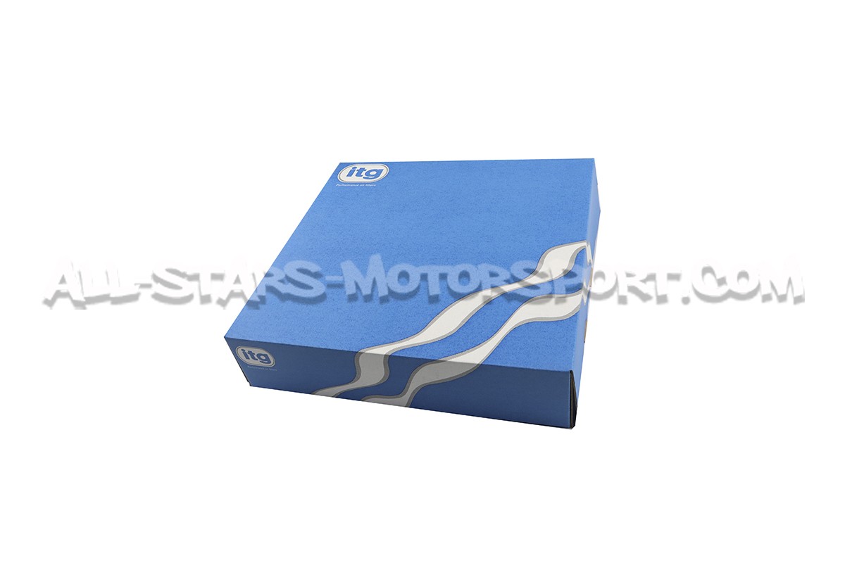 Mitsubishi Lancer Evo 8 / Evo 9 ITG Profilter Panel Air filter