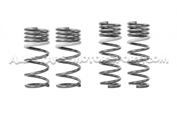 Muelles de suspensión Tanabe Funtoride -25mm para Nissan 370Z