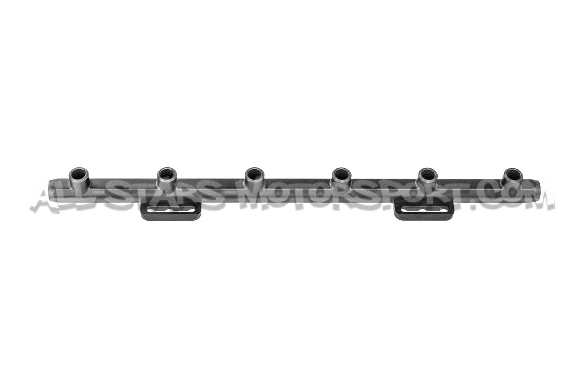 Rails d'injecteurs Deatschwerks pour BMW M3 E46