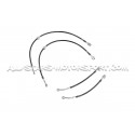 Flexibles de frein aviation Goodridge pour Audi S3 8Y / SQ2