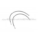 Flexibles de frein aviation Goodridge pour Audi S3 8Y / SQ2