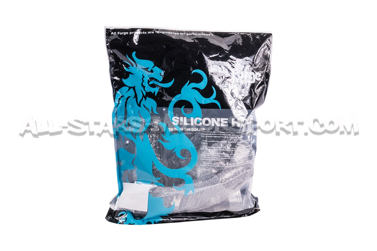 Fiesta ST MK8 Forge Motorsport Silicone Intake Hose