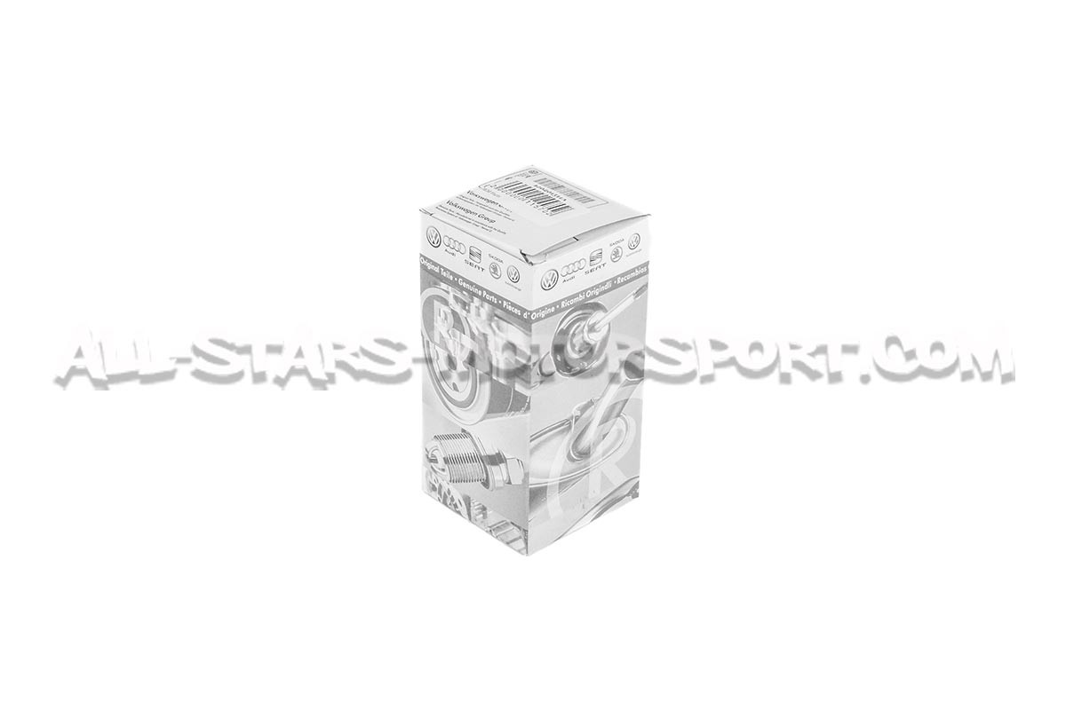 Filtre à carburant OEM pour S3 8L / TT 8N / Golf 4 GTI / Leon 1M 1....