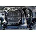 Tapa de motor de fibra de carbono Eventuri para Golf 8 GTI / Golf 8 R