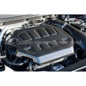 Golf 8 GTI / Golf 8 R Eventuri Carbon Fiber Engine Cover