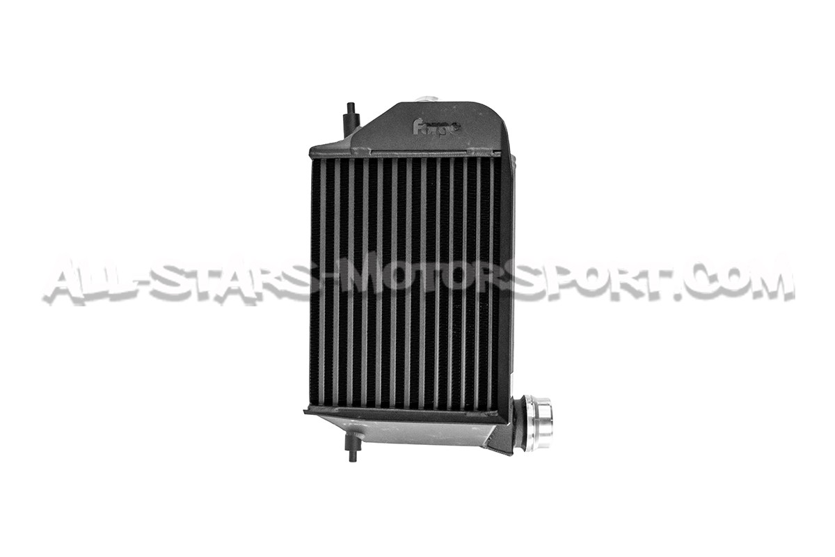 Echangeur Forge Motorsport pour Renault Megane 4 RS