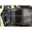 Intercambiador Forge Motorsport para Renault Megane 4 RS