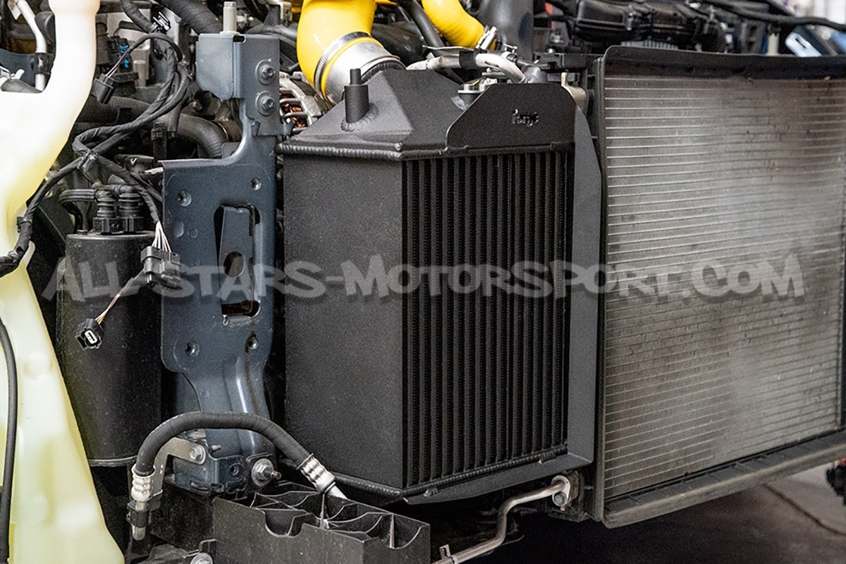 Echangeur Forge Motorsport pour Renault Megane 4 RS