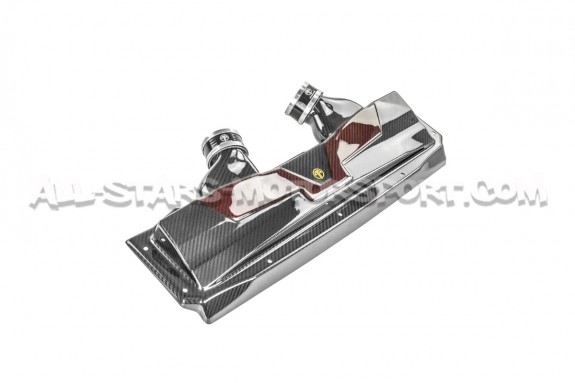 Audi RS6 C8 / RS7 C8 Armaspeed Carbon Fiber Air Intake