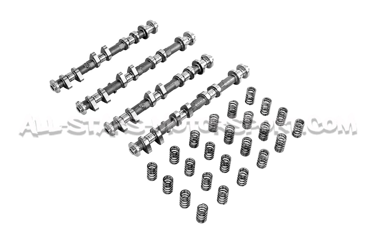 Nissan R35 GTR HKS Camshafts and Valve Springs Set