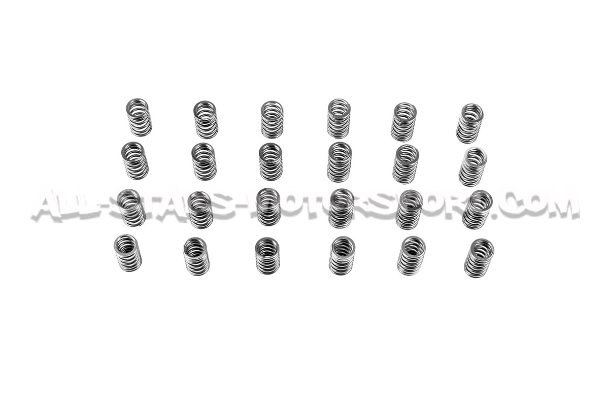 Nissan R35 GTR HKS Camshafts and Valve Springs Set