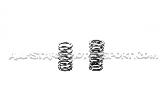 Arboles de levas y muelles HKS para Nissan R35 GTR