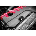 Racingline Oil Dipstick for Audi RS3 8V5 / TTRS 8S / RSQ3 2.5 TFSI ...