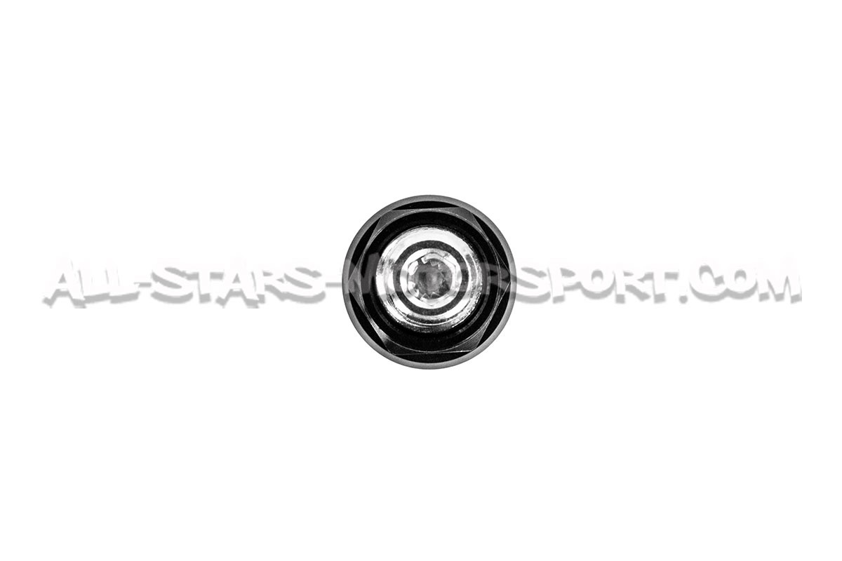 Alpha Competition 14x150 Wheels Stud and Nut Conversion kit for Aud...