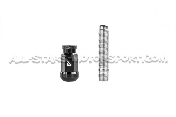 Alpha Competition 14x150 Wheels Stud and Nut Conversion kit for Aud...
