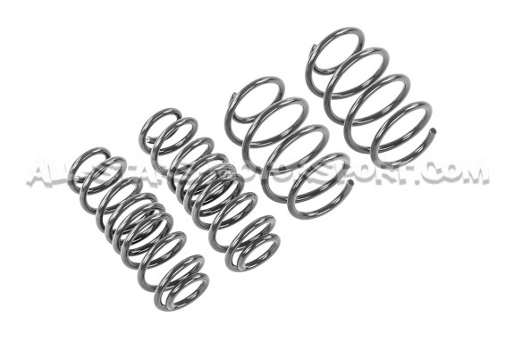 Kit ressorts courts Racingline pour Skoda Octavia NX vRS