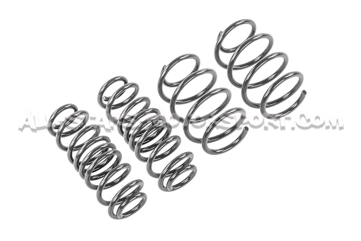Muelles suspension Racingline para Skoda Octavia NX vRS
