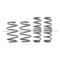 Skoda Octavia NX vRS Racingline Sport Springs